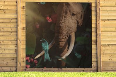 Gartenposter - 200x200 cm - Tiere - Vogel - Elefant - Dschungel (Gr. 200x200 cm)
