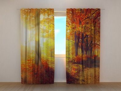 Fotogardine sonniger Tag im Herbst, Vorhang mit Motiv, Digitaldruck, Gardine auf Maß