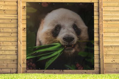 Gartenposter - 200x200 cm - Tiere - Panda - Dschungel (Gr. 200x200 cm)
