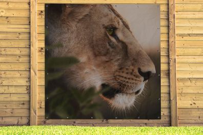 Gartenposter - 200x200 cm - Löwe - Wilde Tiere - Dschungel (Gr. 200x200 cm)