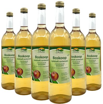 Bleichhof Apfelsaft Boskoop — 100% Direktsaft, sortenrein, 6er Pack (6 x 0,72l)