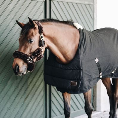 Kentucky Horsewear BIB Summer Brustschutz - schwarz - verhindert Reibung