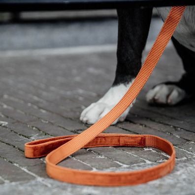 Kentucky Dogwear Hundeleine Dog Lead "Velvet" - Orange