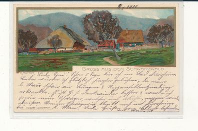 Bildpostkarte, Gruß a.d. Schwarzwald, gelaufen 1900 nach Nidda, siehe Bild. (90)