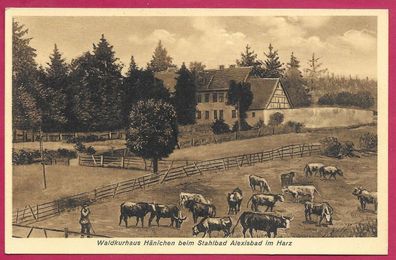 Postkarten Waldkurhaus Hänichen bei Alexisbad, nicht gelaufen, siehe Bild.