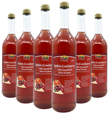 Bleichhof Apfel-Cranberry Direktsaft – 100% Direktsaft, vegan (6x 0,72l)