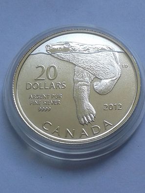 Original 20$ 2012 Kanada Polarbär Eisbär 1/4 Unze Silber 9999 20 Dollars 2012 Canada