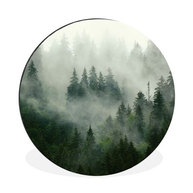 Wandbild Runde Bilder 90x90 cm Wald - Nebel - Bäume - Natur (Gr. 90x90 cm)