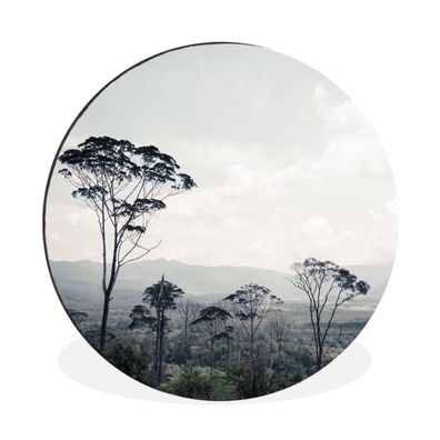Wandbild Runde Bilder 30x30 cm Bäume - Luft - Natur (Gr. 30x30 cm)