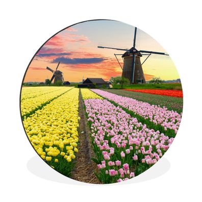 Wandbild Runde Bilder 30x30 cm Tulpen - Windmühle - Natur (Gr. 30x30 cm)