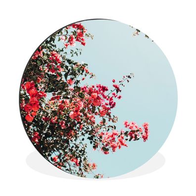 Wandbild Runde Bilder 140x140 cm Blumen - Luft - Rosa (Gr. 140x140 cm)