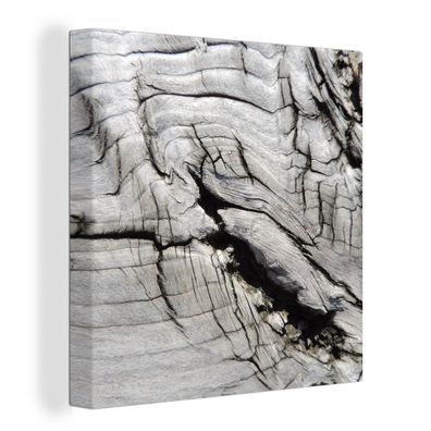 Leinwandbilder - Wanddeko 20x20 cm Nerf - Weiß - Holz - Baumstamm (Gr. 20x20 cm)