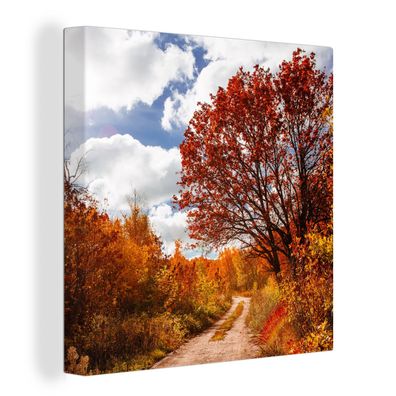 Leinwandbilder - Wanddeko 50x50 cm Baum - Weg - Herbst (Gr. 50x50 cm)
