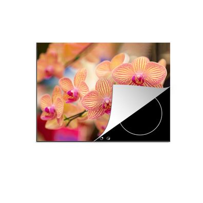 Herdabdeckplatte 60x52 cm Pflanze - Orchidee - Blumen - Rosa - Flora
