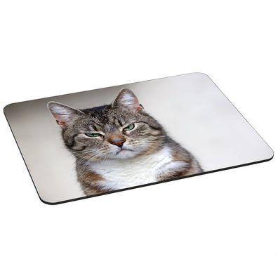 PEDEA Gaming Office Mauspad XL cat mit vernähten Rändern und rutschfester Unte