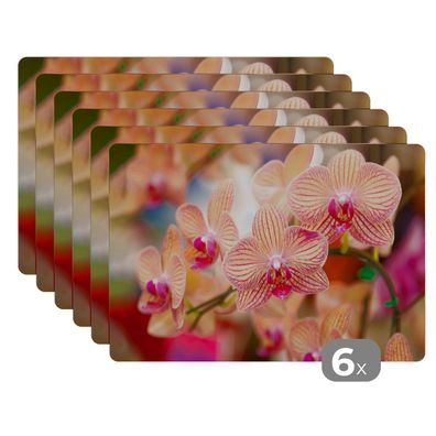 Placemats Tischset 6-teilig 45x30 cm Pflanze - Orchidee - Blumen - Rosa - Flora
