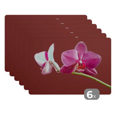 Placemats Tischset 6-teilig 45x30 cm Blumen - Orchideen - Rosa (Gr. 45x30 cm)