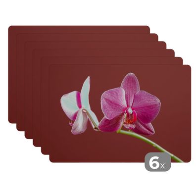 Placemats Tischset 6-teilig 45x30 cm Blumen - Orchideen - Rosa (Gr. 45x30 cm)