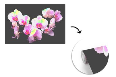 Tapete Fototapete - 420x280 cm Orchideenpflanze - Blume - Rosa (Gr. 420x280 cm)
