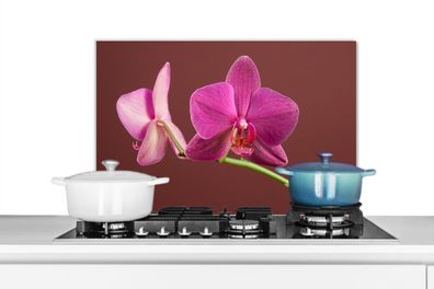 Spritzschutz Küchenrückwand - 60x40 cm Blumen - Orchideen - Rosa (Gr. 60x40 cm)