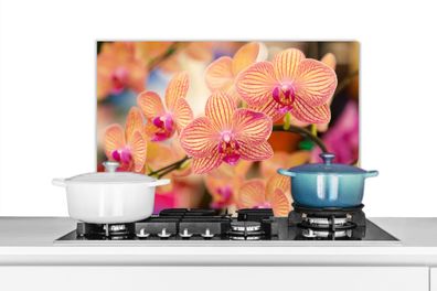 Spritzschutz Küchenrückwand - 60x40 cm Pflanze - Orchidee - Blumen - Rosa - Flora
