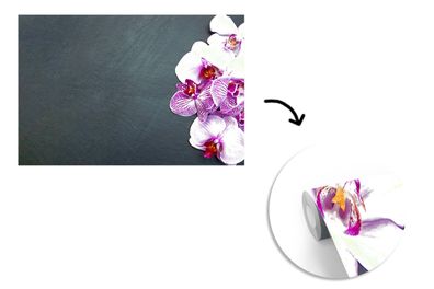 Tapete Fototapete - 360x240 cm Orchidee - Blumen - Rosa - Flora (Gr. 360x240 cm)