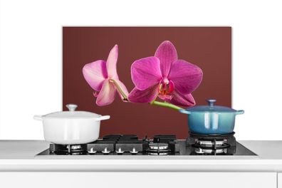 Spritzschutz Küchenrückwand - 60x40 cm Blumen - Orchideen - Rosa (Gr. 60x40 cm)