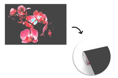 Tapete Fototapete - 360x240 cm Pflanzen - Orchidee - Blumen - Rosa (Gr. 360x240 cm)