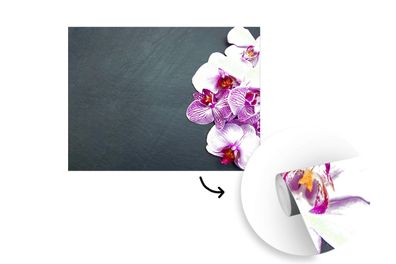 Tapete Fototapete - 375x300 cm Orchidee - Blumen - Rosa - Flora (Gr. 375x300 cm)