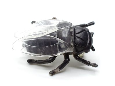 Käfer Brosche Miniblings Anstecknadel Pin Fliege Insekt Mistkäfer Flügel schwarz