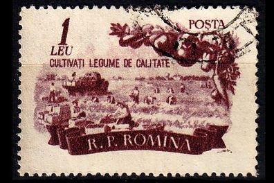Rumänien Romania [1955] MiNr 1542 ( O/ used )