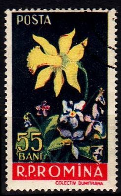 Rumänien Romania [1956] MiNr 1590 ( O/ used ) Pflanzen