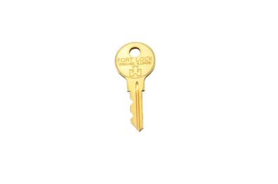 Löwen Schlüssel für Schloss Matrixtür SM94 SM96 HB8 L54G L550 E908152