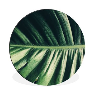 Wandbild Runde Bilder 140x140 cm Blätter - Tropisch - Dschungel (Gr. 140x140 cm)