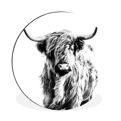 Wandbild Runde Bilder 30x30 cm Schwarz und Weiß - Schottischer Highlander - Tiere