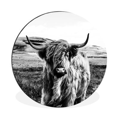 Wandbild Runde Bilder 30x30 cm Schwarz - Weiß - Schottischer Highlander - Gras