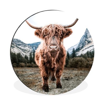Wandbild Runde Bilder 120x120 cm Schottischer Highlander - Berg - Tiere