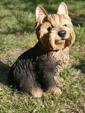 Yorki Deko Figur lebensgroß Yorkshire Terrier wetterfest Gartenfigur Hotant NEU