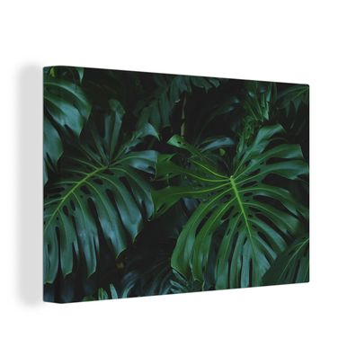 Leinwandbilder - Wanddeko 120x80 cm Monstera - Blätter - Tropisch - Dschungel