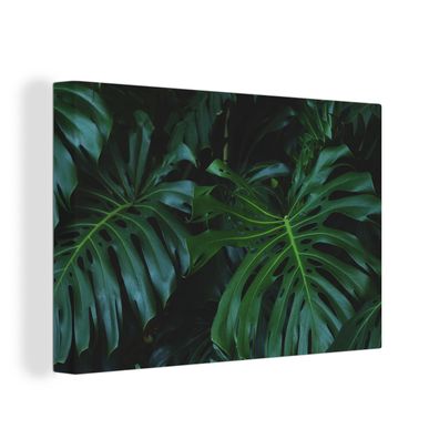 Leinwandbilder - Wanddeko 140x90 cm Monstera - Blätter - Tropisch - Dschungel