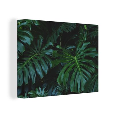 Leinwandbilder - Wanddeko 120x90 cm Monstera - Blätter - Tropisch - Dschungel