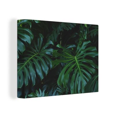 Leinwandbilder - Wanddeko 40x30 cm Monstera - Blätter - Tropisch - Dschungel