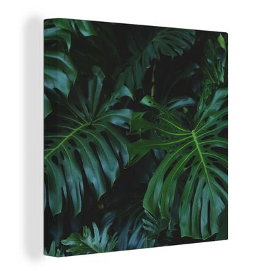 Leinwandbilder - Wanddeko 20x20 cm Monstera - Blätter - Tropisch - Dschungel