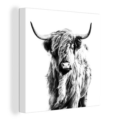Leinwandbilder - Wanddeko 90x90 cm Schwarz und Weiß - Schottischer Highlander - Tiere