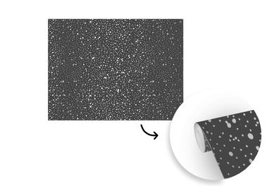 Tapete Fototapete - 300x240 cm Schwarz - Weiß - Muster - Polka dots (Gr. 300x240 cm)