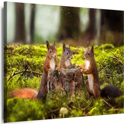 Leinwand Bilder Natur Eichhörnchen Mittagessen Tiere Premium Kunst Wandbilder