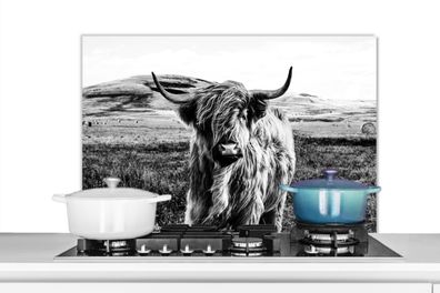 Spritzschutz Küchenrückwand - 80x55 cm Schwarz - Weiß - Schottischer Highlander - Gra