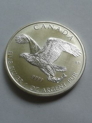 5$ 2014 Kanada Weisskopfseeadler 5 Dollars 2014 Canada bald eagle 1 Unze Silber 999