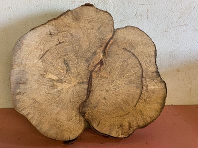 Baumscheibe, Holzscheibe, Tischplatte, ca. 50x3 cm Epoxidharz