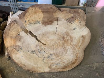 Baumscheibe, Holzscheibe, Tischplatte, Ulme ca. 95x85x5 cm geschliffen Epoxidharz Ris